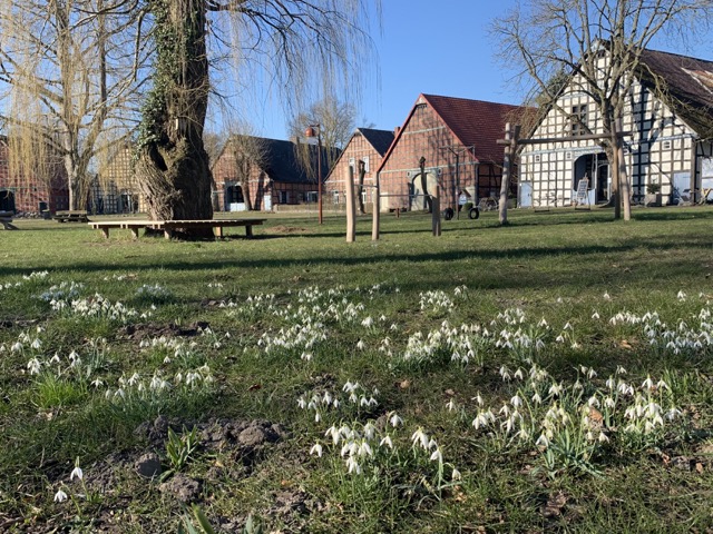 Rundlinge in Wendland: A Settlement Landscape 