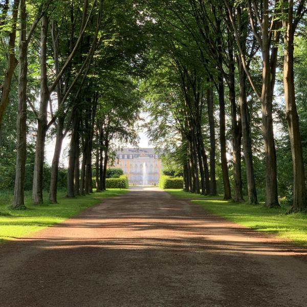 Schlösser Augustusburg und Falkenlust in Brühl